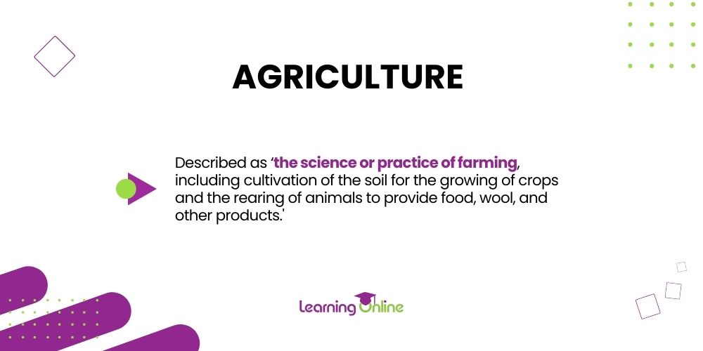 Agriculture infographic