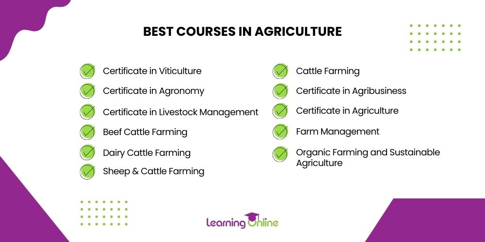 Best courses in agriculture infographic
