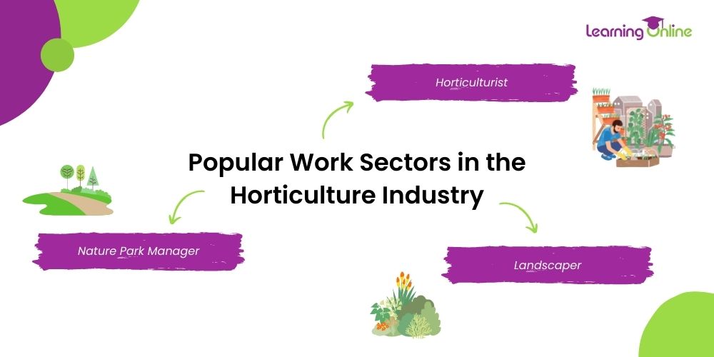 Popular work sectors in the horticulture industry infographic