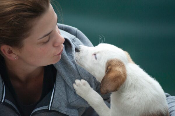 Girl and a puppy face to face
