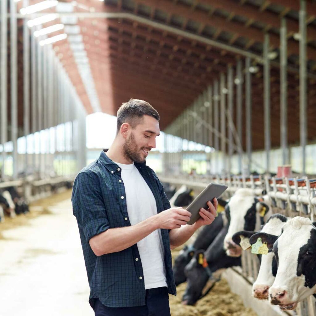 How do I start a cattle farm? New Zealand Learning Online