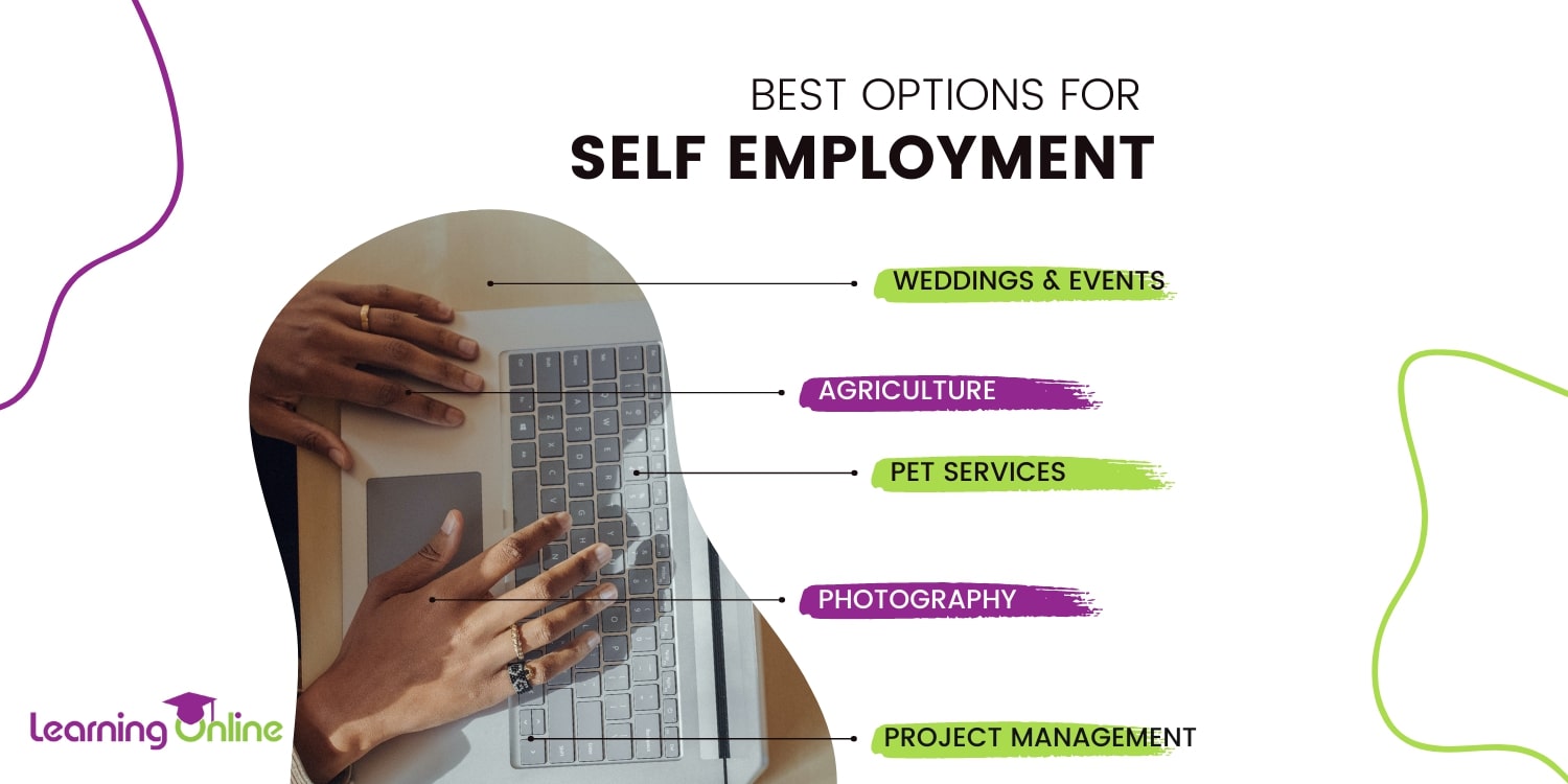 Best options for self employment infographic