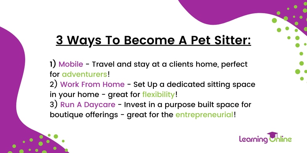 How to get into pet sitting