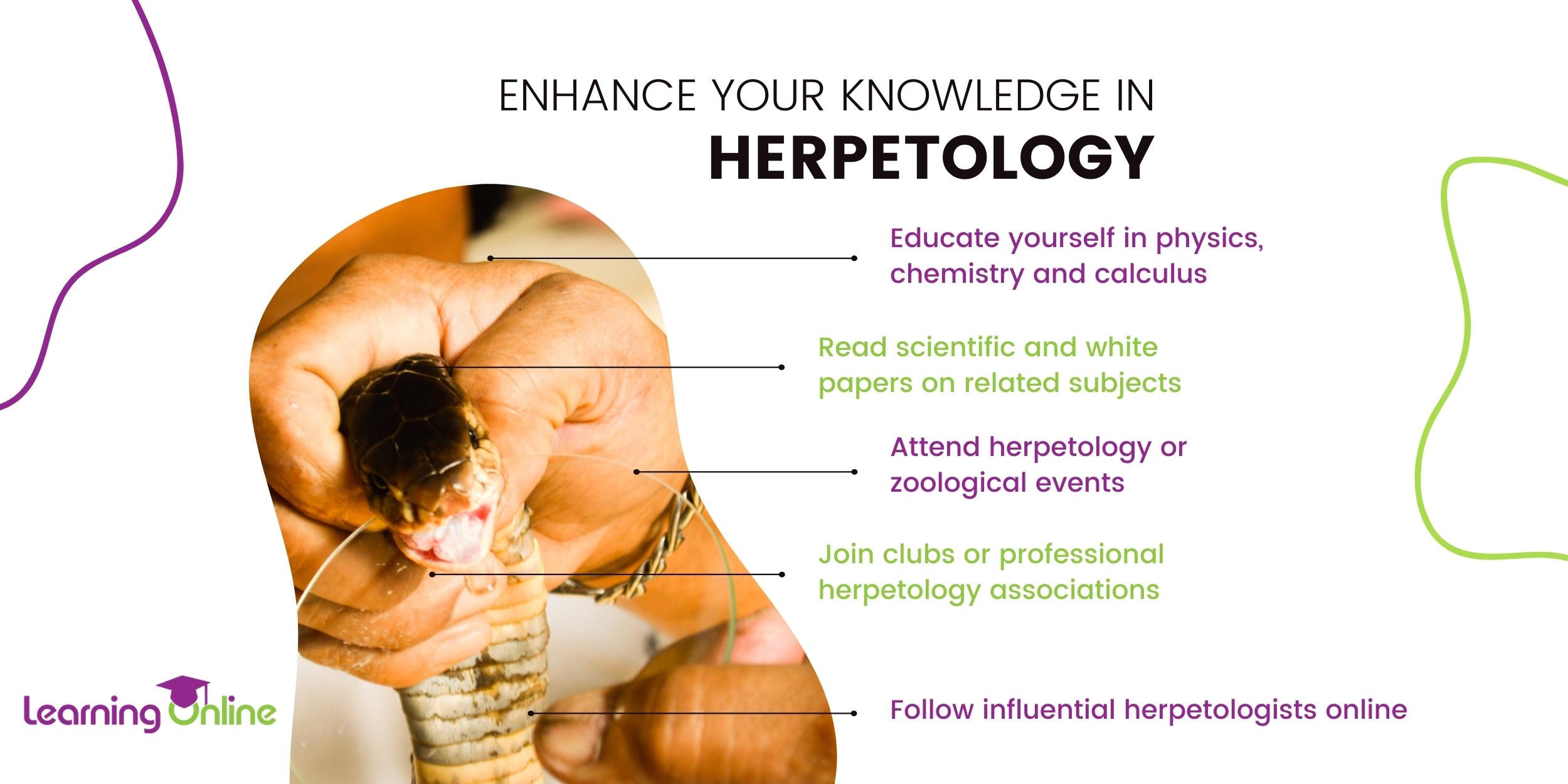 Enhance your knowledge in Herpetology infographic