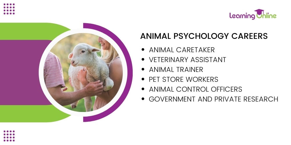 animal psychology careers infographic