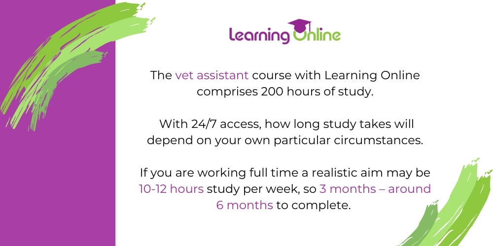 Vet assistant course infographic