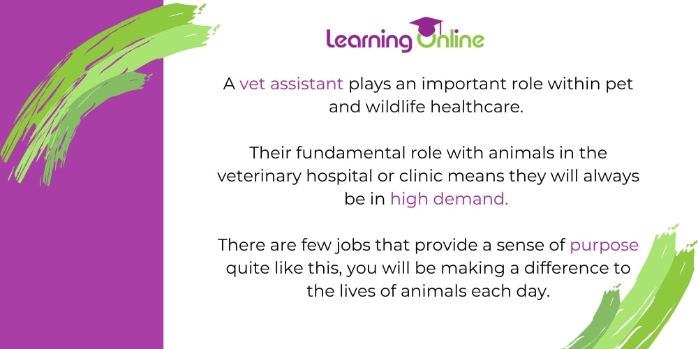 Vet assistant role infographic