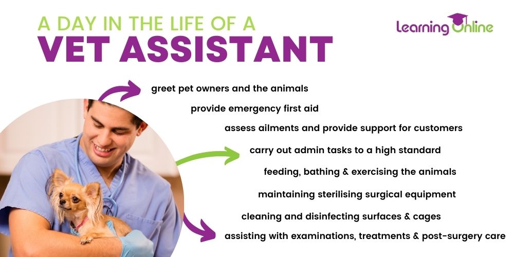 A day in the life of a vet assistant infographic