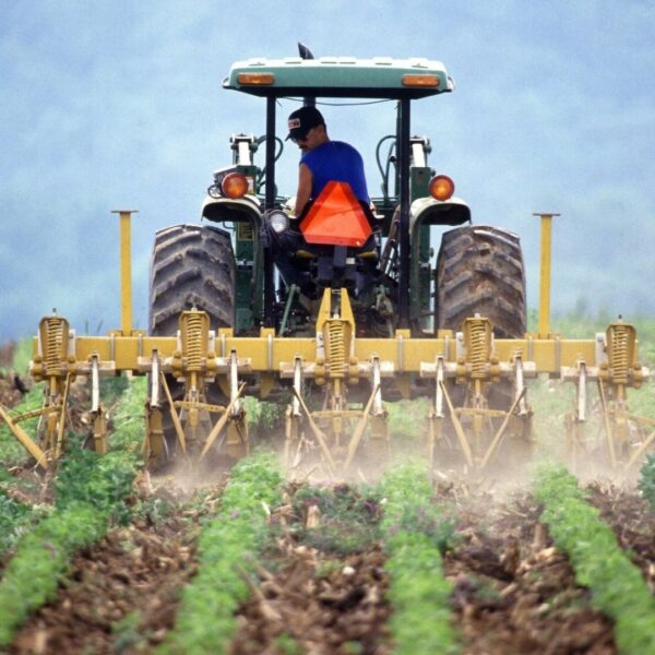 A man on a tractor attending to his crops