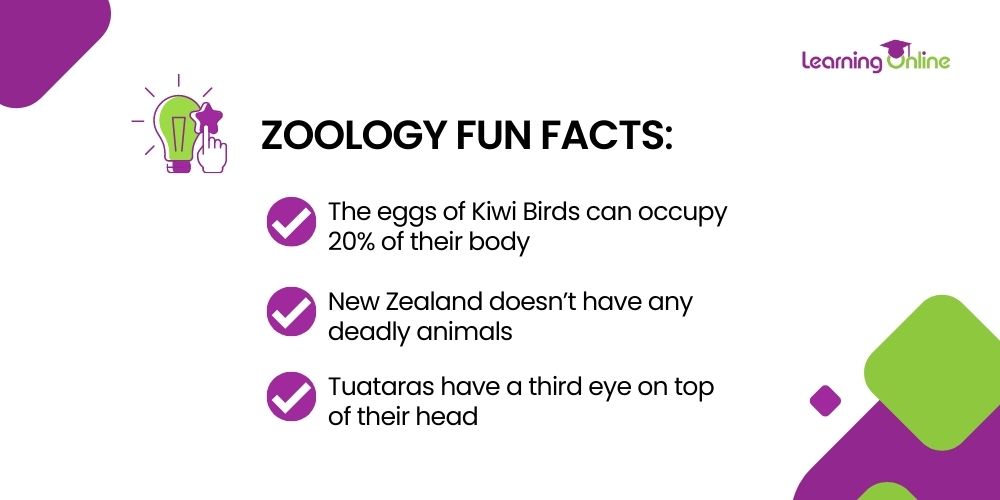 Fun Facts about Zoology