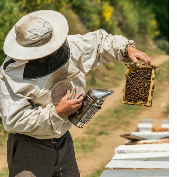 A man attending to a beehive