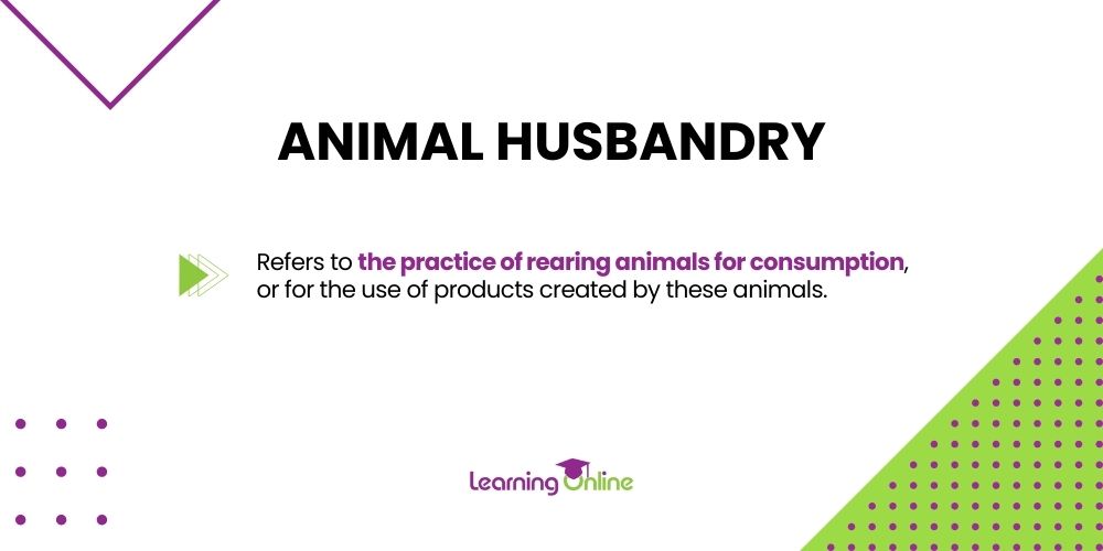 Animal husbandry infographic