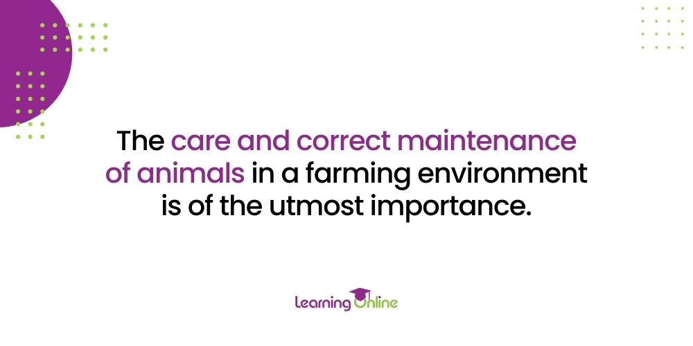 Care and correct maintenance of animals infographic