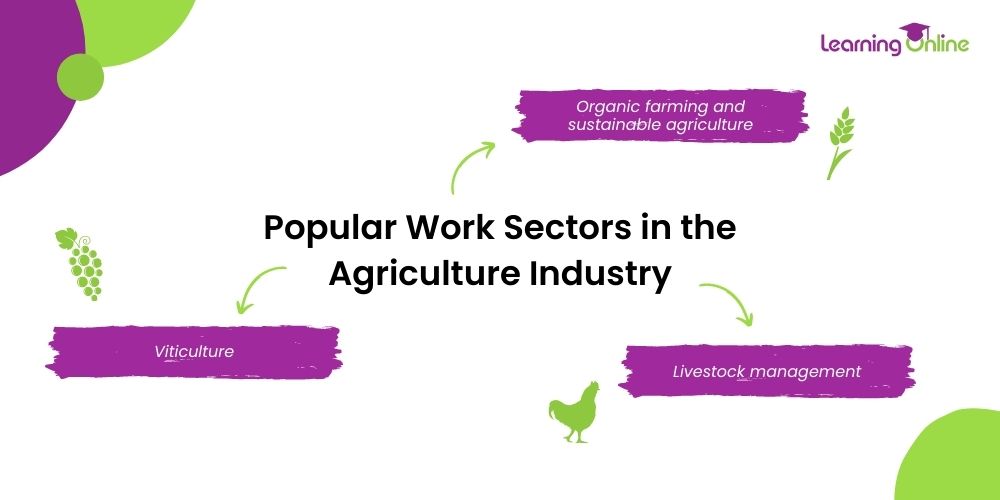 Popular work sectors in the agriculture industry infographic